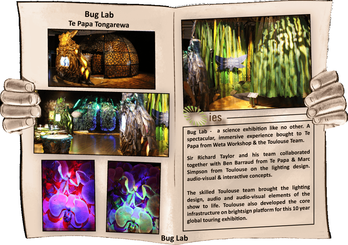 Toulouse Group Lighting Design And Technology Integration - Lighting Designer - Transparent PNG Free Download | PNGio