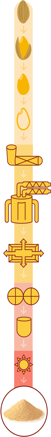 Processing Technology That Enabled The Development - Processing Technology That Enabled The Development - Transparent PNG Free Download | PNGio