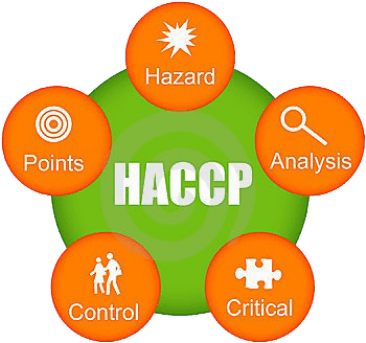 Food Technology Coursework Haccp Food Technology Coursework - Haccp - Transparent PNG Free Download | PNGio