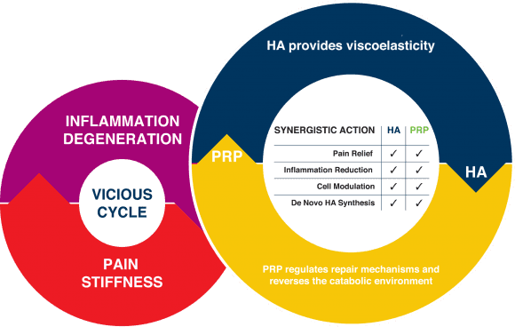 Technology Cellular Matrix Prp Ha A Cp Rh Regenlab - Circle - Transparent PNG Free Download | PNGio