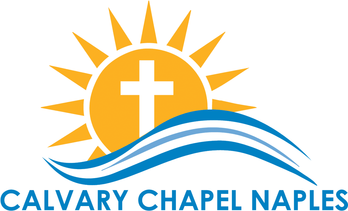 Powered By Ardent Payment Solutions, A Pci Compliant - Baby Kiko - Transparent PNG Free Download | PNGio