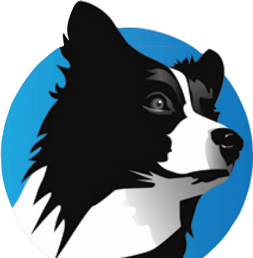 Salty Dog Technology - Salty Dog Technology - Transparent PNG Free Download | PNGio