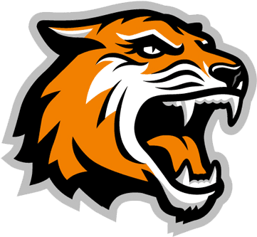 Rochester Institute Of Technology - Rochester Institute Of Technology - Transparent PNG Free Download | PNGio