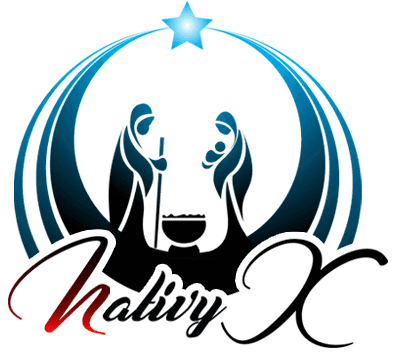 That's The Reality Where The Set Design, Decoration, - Graphic Design - Transparent PNG Free Download | PNGio