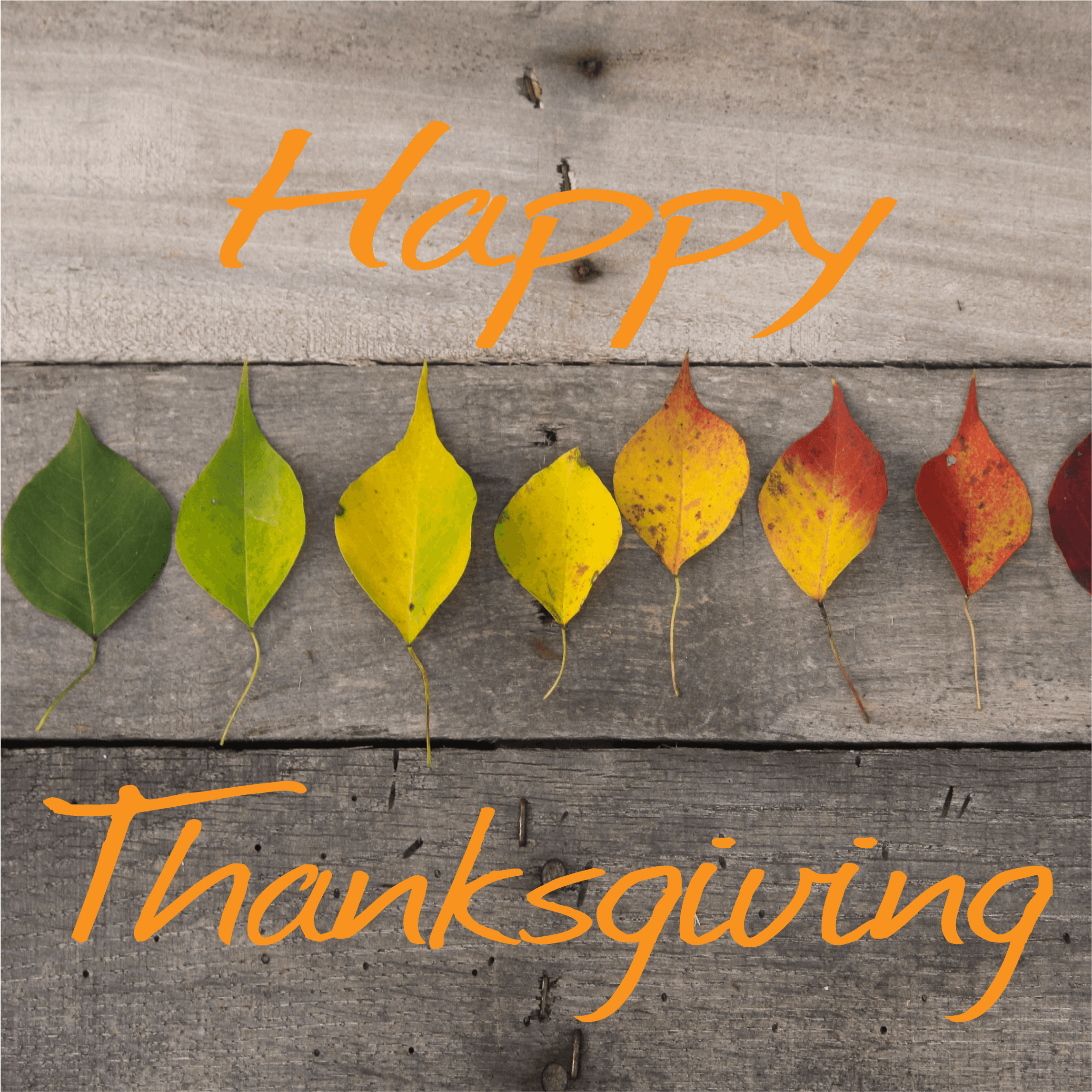 Happy Thanksgiving - Technology - Transparent PNG Free Download | PNGio