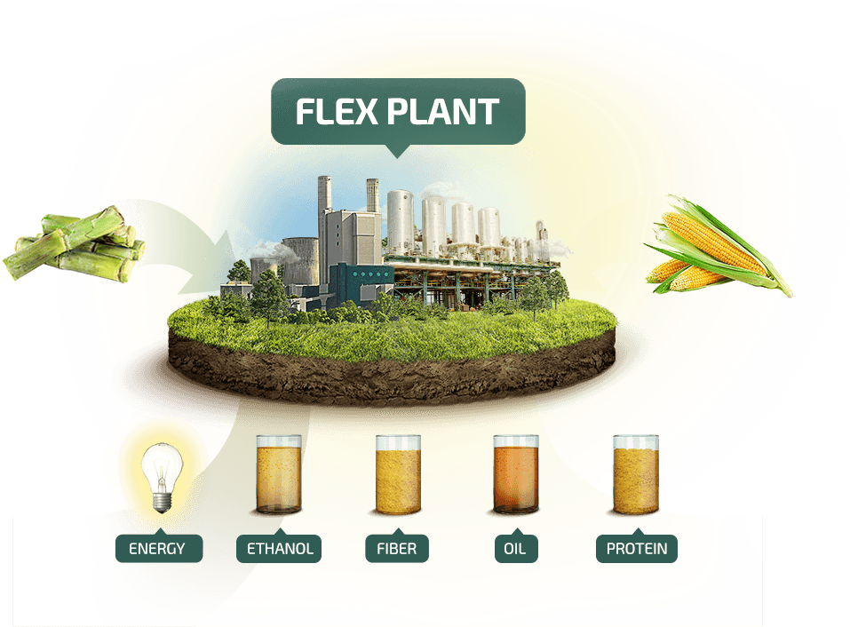 To Produced Oil And Corn Protein, Also Enabling The - Fluid Quip Process Technologies, Llc - Transparent PNG Free Download | PNGio