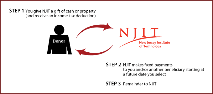 Deferred-payment Charitable Gift Annuity Diagram - New Jersey Institute Of Technology - Transparent PNG Free Download | PNGio