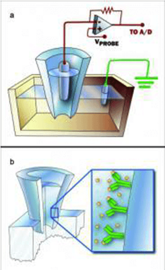 Sting In The World Of Biosensor Technology - Illustration - Transparent PNG Free Download | PNGio