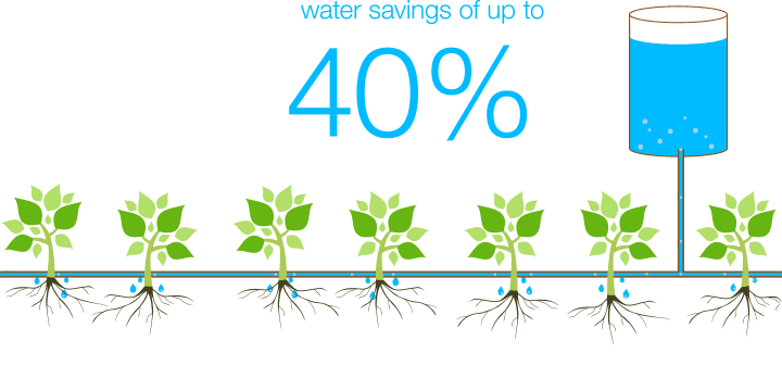 The Vietnamese Government Supports The Implementation - Graphic Design - Transparent PNG Free Download | PNGio