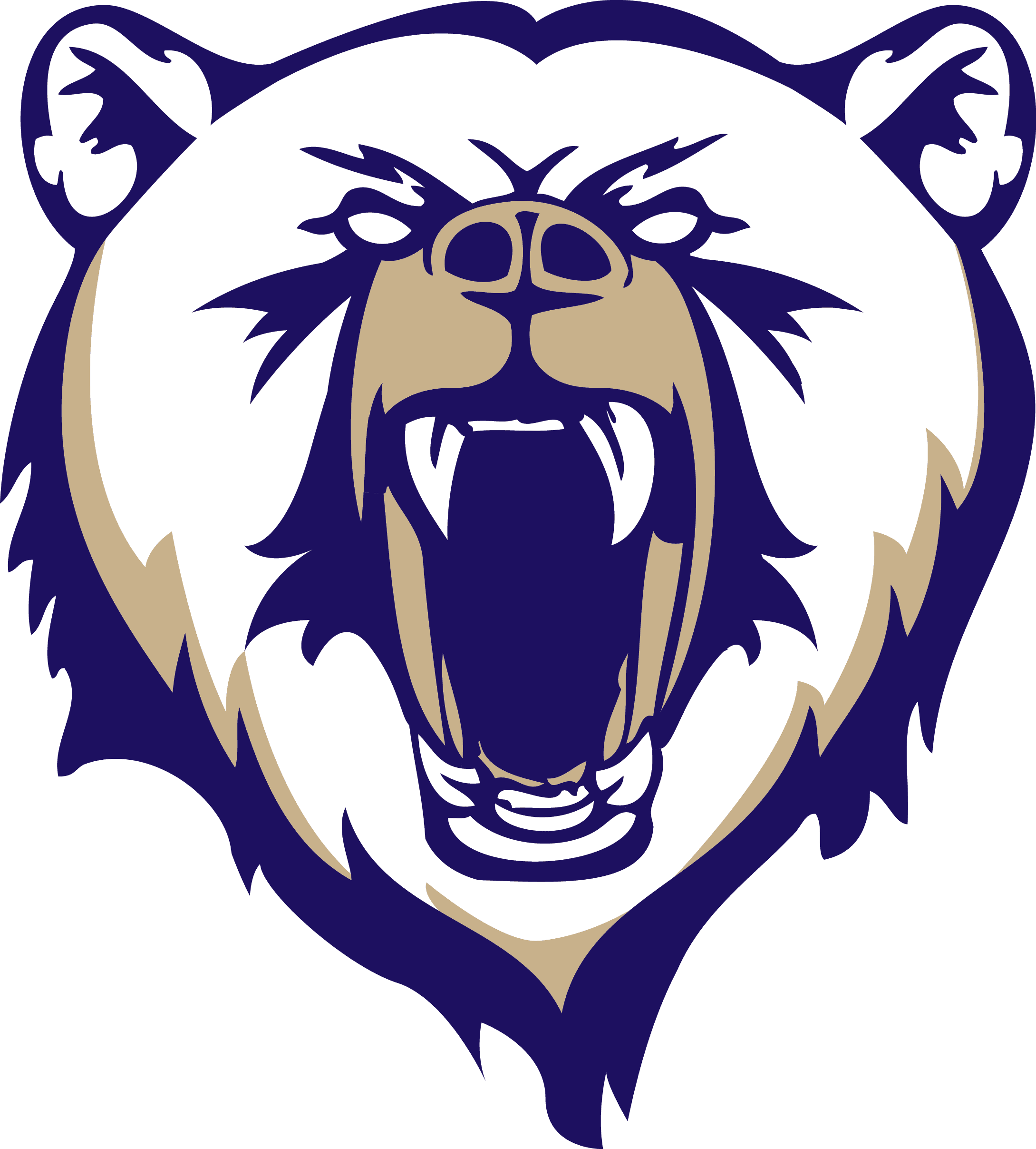 Spring Valley High School Las Vegas Football - Transparent PNG Free Download | PNGio