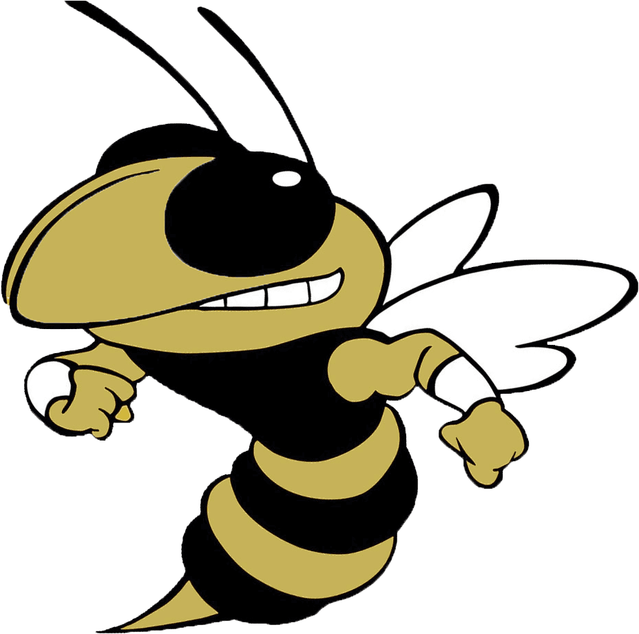 T L Hanna Yellowjackets - Georgia Tech Yellow Jackets Football - Transparent PNG Free Download | PNGio