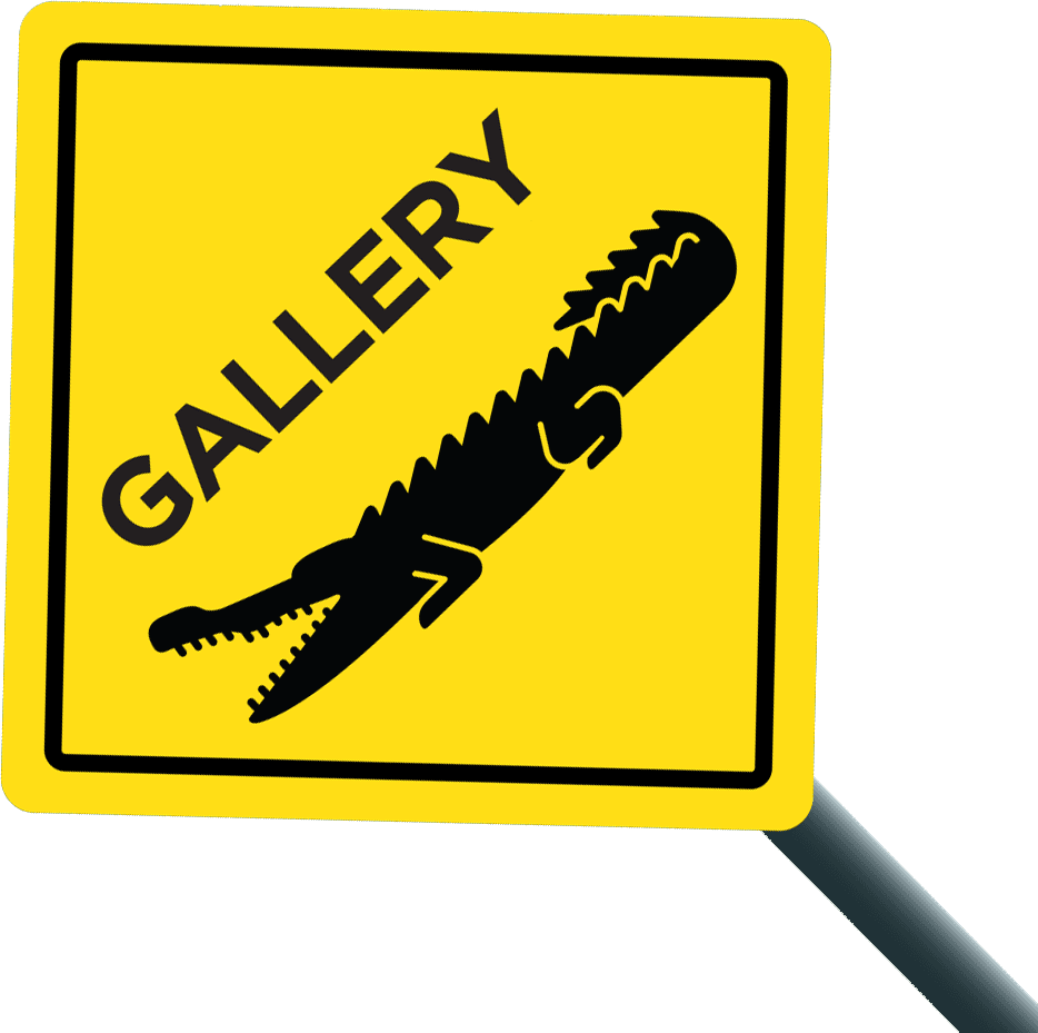 Snapping Tours Wild Saltwater Crocodiles River Tour, - Football - Transparent PNG Free Download | PNGio