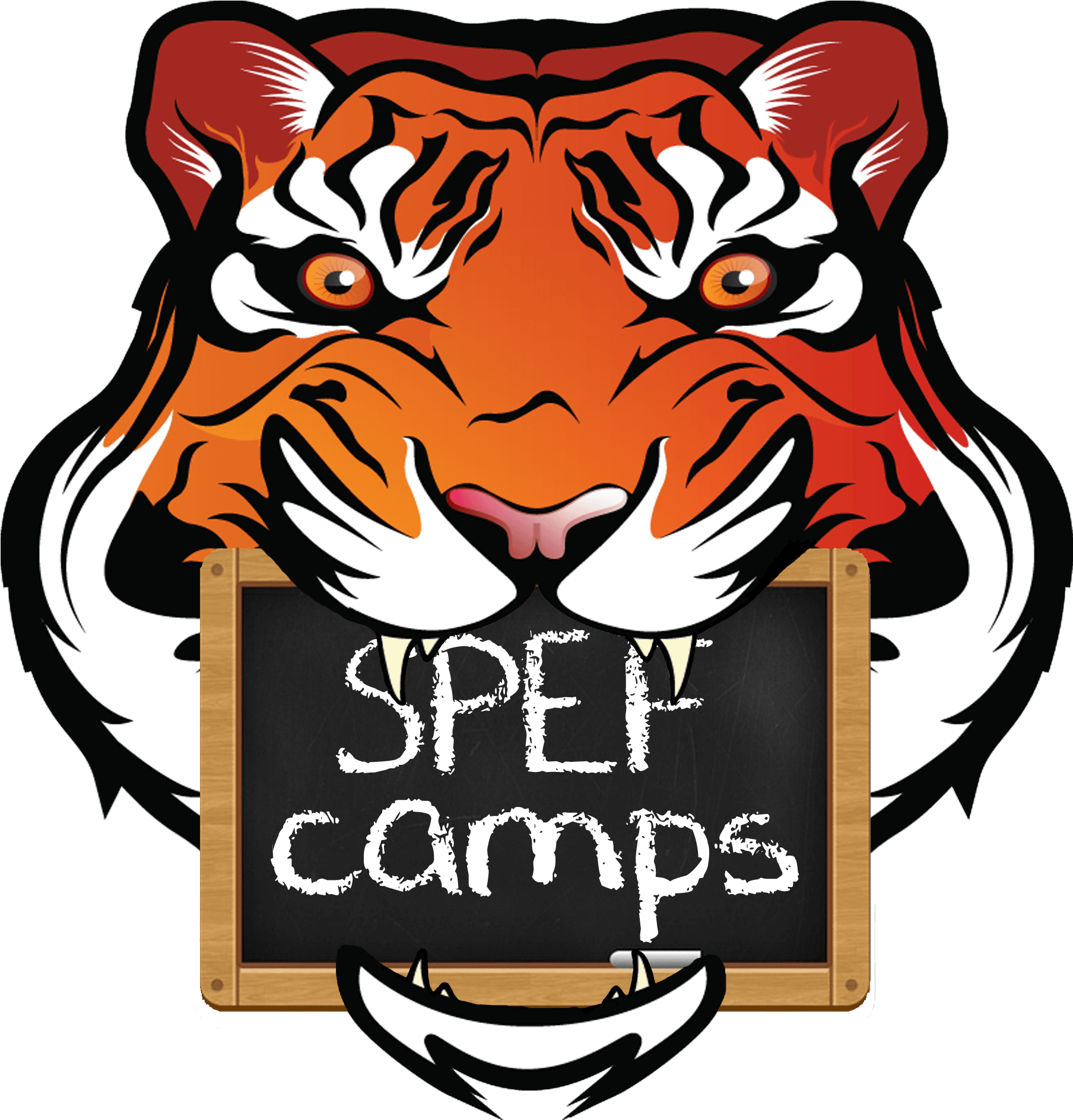 Spef Camps - Memphis Tigers Football - Transparent PNG Free Download | PNGio