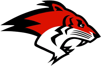 The British American Football Association Have Announced - Tiger In American Football - Transparent PNG Free Download | PNGio