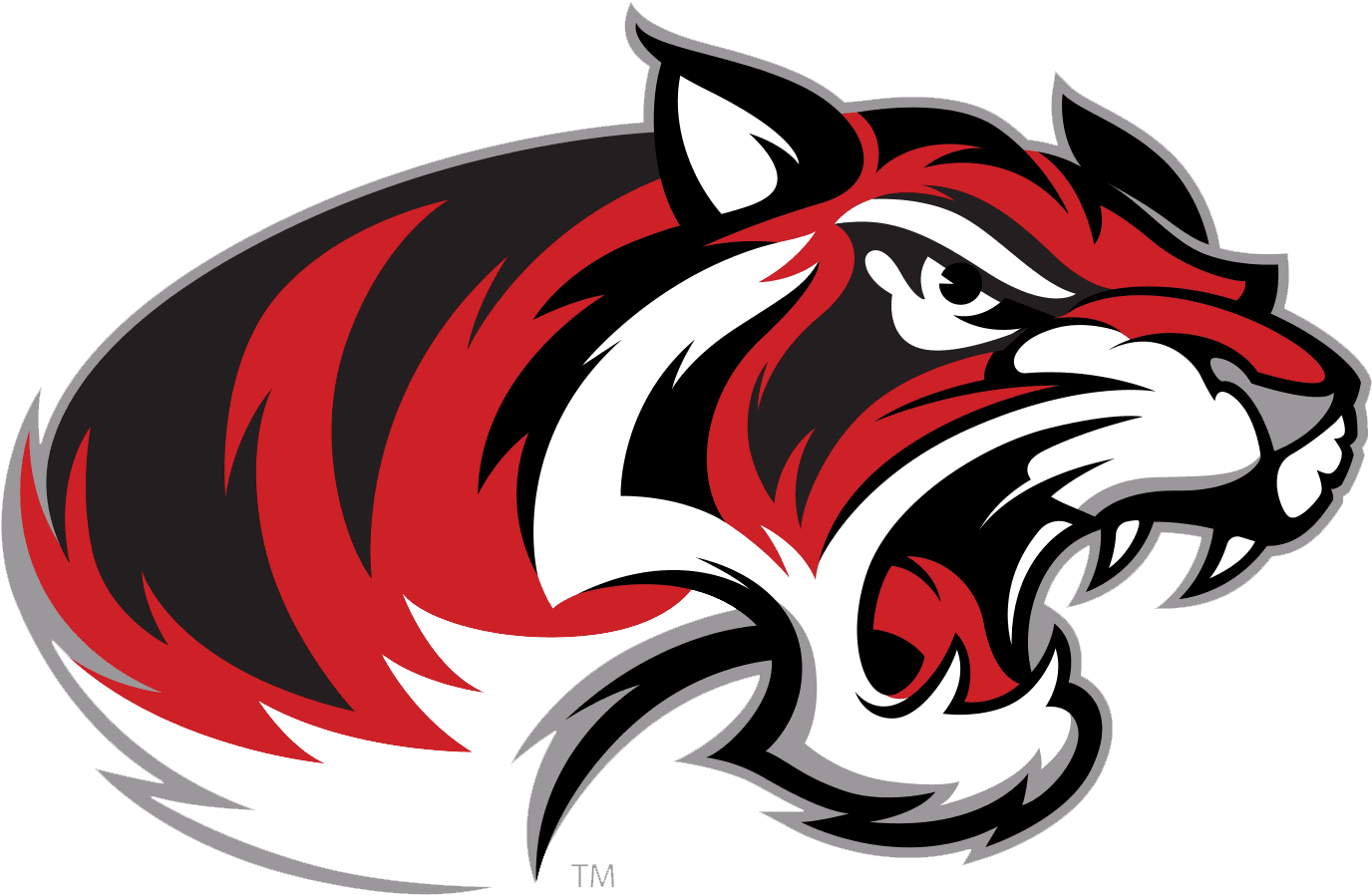 Braswell Bengals - Braswell High School Football - Transparent PNG Free Download | PNGio