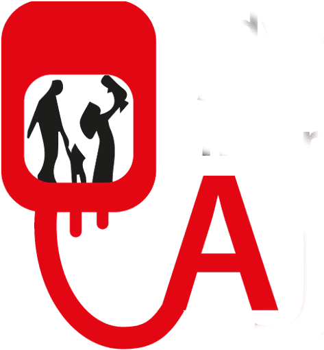 Brazil National Football Team - Transparent PNG Free Download | PNGio