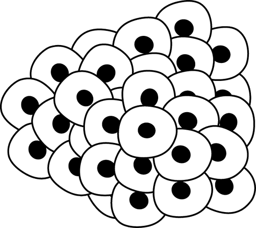 Frog Eggs Clip Art Image Animal Clipart - Life Cycle Of A Fish - Transparent PNG Free Download | PNGio