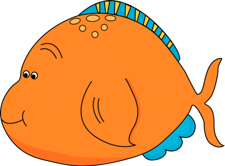 Download - Orange Fish Clipart - Transparent PNG Free Download | PNGio
