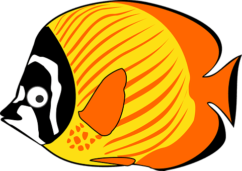 Cartoon Fish Sea Tropical Fish Fish Fish F - Cartoon Fish - Transparent PNG Free Download | PNGio