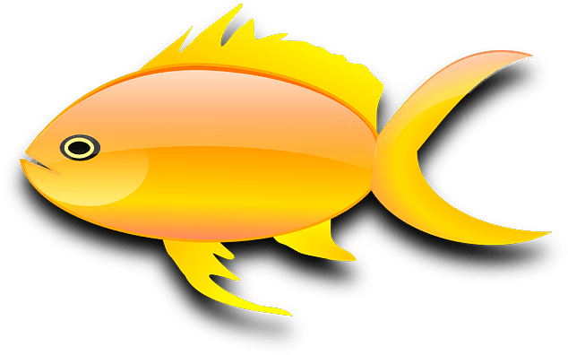 Goldfish Gold Fish Clip Art Black And White Free Clipart - Gold Fish Clip Art - Transparent PNG Free Download | PNGio