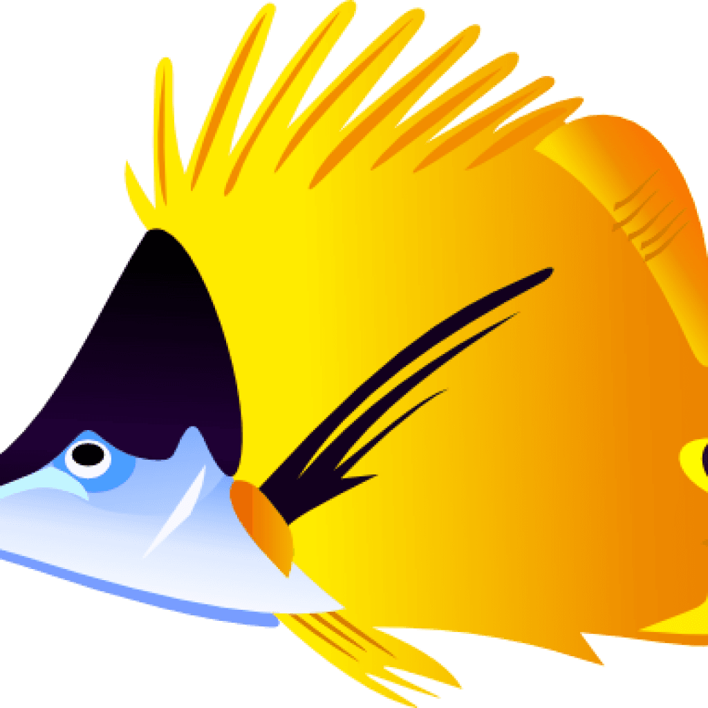 Tropical Fish Clipart Tropical Fish Clip Art At Clker - Colorful Fish Tile Coaster - Transparent PNG Free Download | PNGio