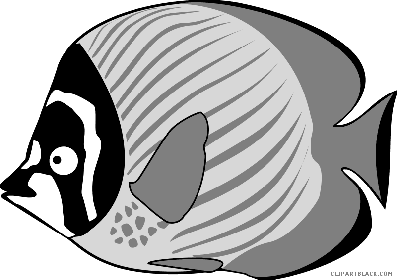 Tropical Fish Animal Free Black White Clipart Images - Clipart Cartoon Fish - Transparent PNG Free Download | PNGio