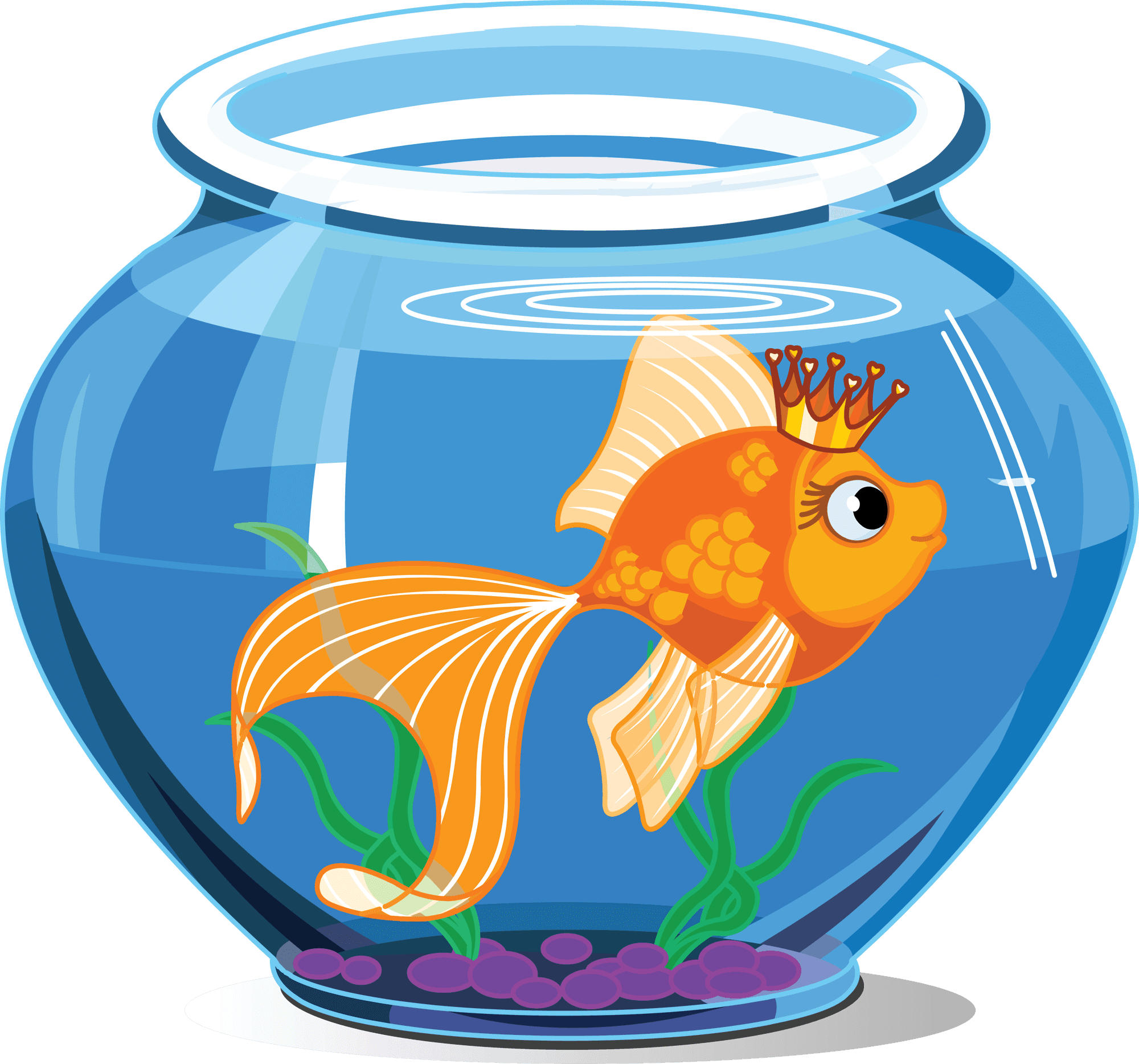 Fish Inside The Aquarium - Transparent PNG Free Download | PNGio