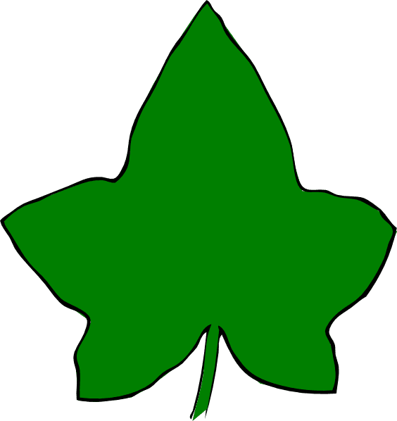 Green Fish Silhouette - Transparent PNG Free Download | PNGio