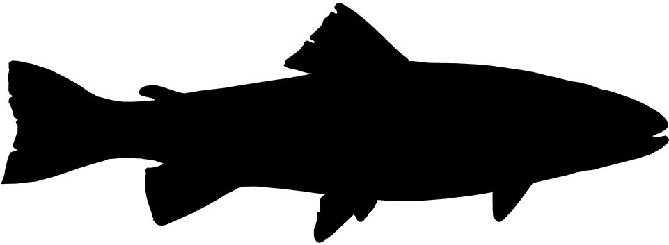 Fish Black Fishing Silhouette Trout - Got Fish? Shower Curtain - Transparent PNG Free Download | PNGio