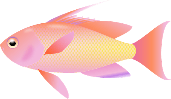 Graphics For Fishing Clip Art Transparent Background - Fish Clipart Transparent Background - Transparent PNG Free Download | PNGio