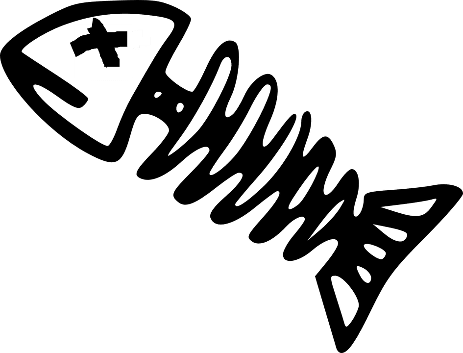 Cartoon Fish Skeleton - Transparent PNG Free Download | PNGio