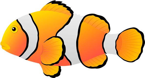 Blog De L'ile De Kahlan - Tropical Fish - Transparent PNG Free Download | PNGio