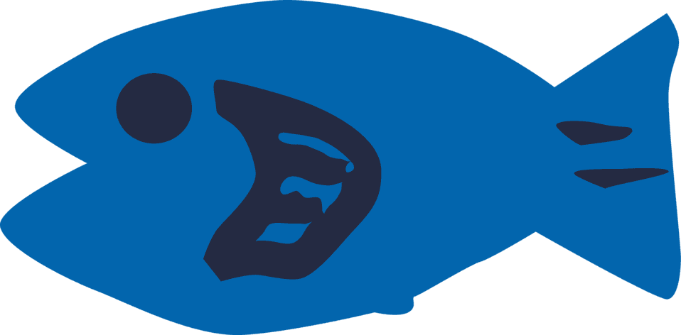 Simple Fish Cartoon - Transparent PNG Free Download | PNGio