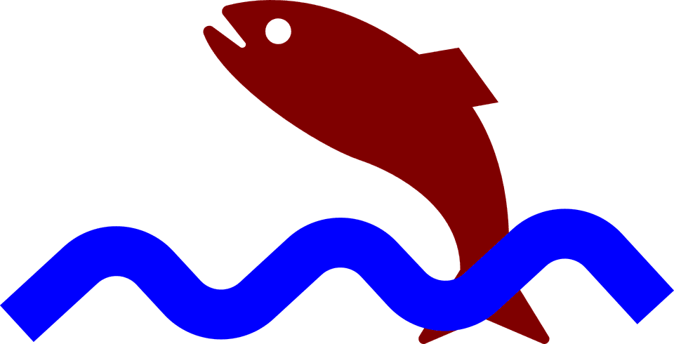 Jumping Fish Clip Art - Fish Jumping Out Of The Water Gif - Transparent PNG Free Download | PNGio