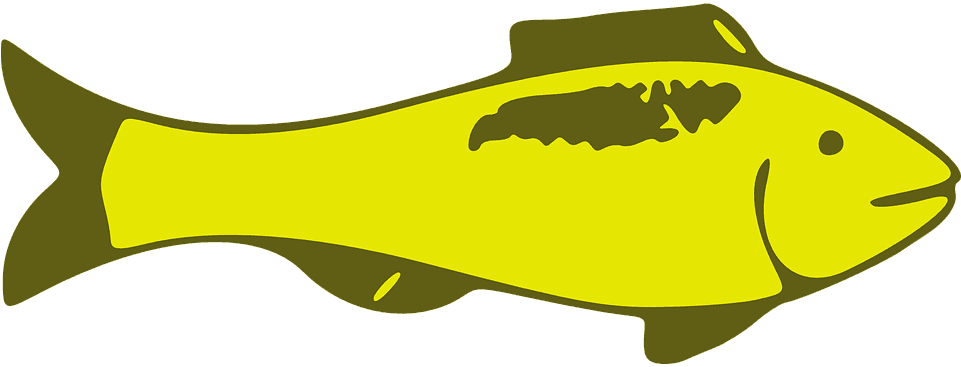 Custom Yellow Fish Shower Curtain - Transparent PNG Free Download | PNGio