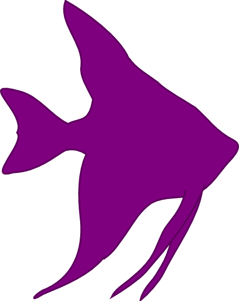 Angelfish Clipart Pink Fish - Cartoon Angel Fish Clipart - Transparent PNG Free Download | PNGio