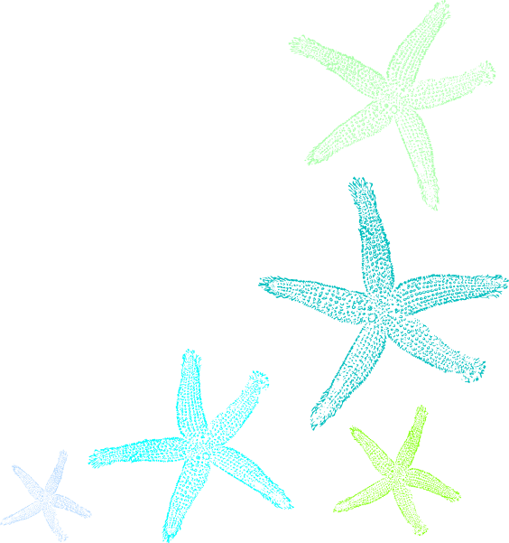 Starfish Prints Clip Art At Clker - Fish Clip Art - Transparent PNG Free Download | PNGio