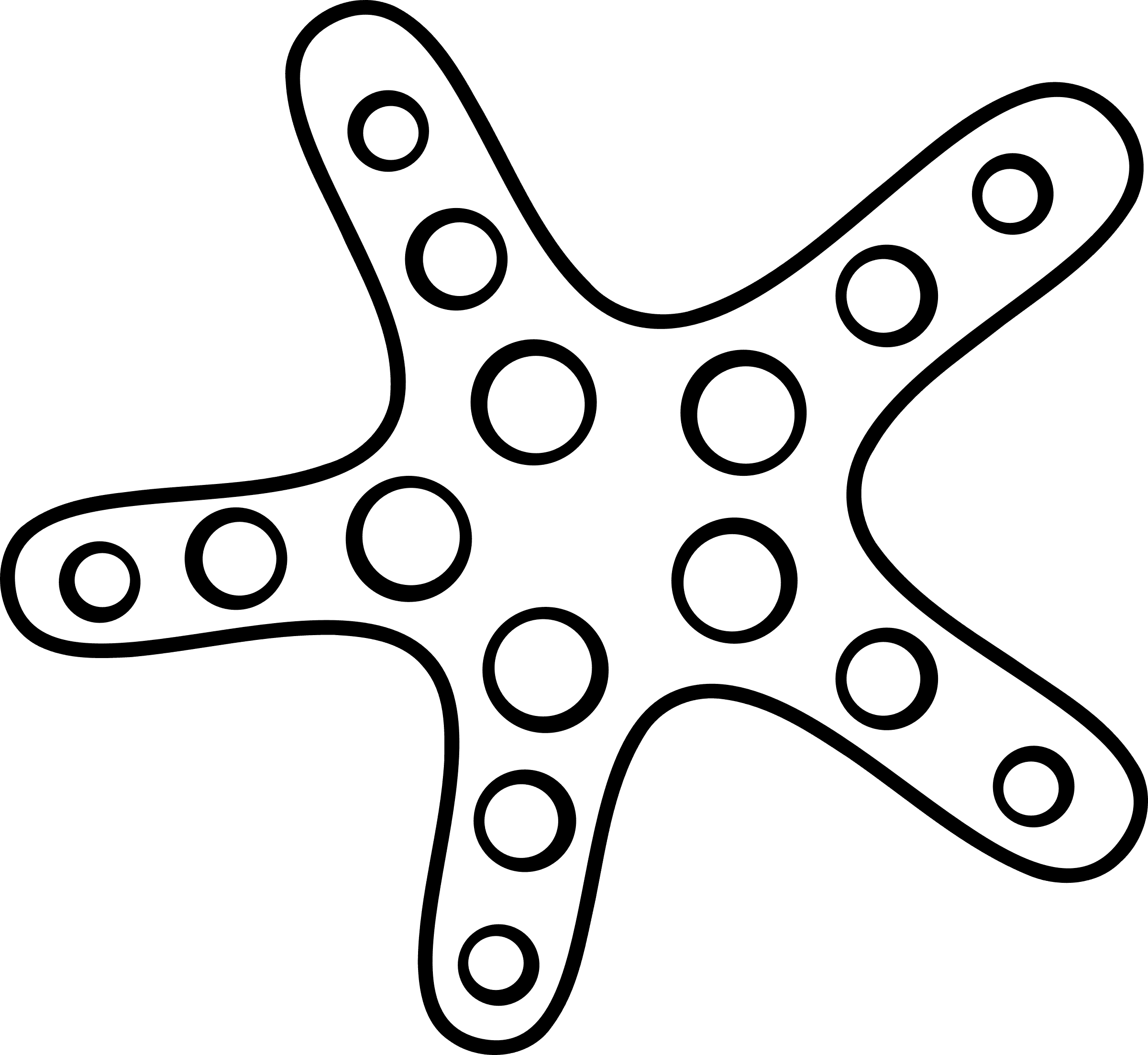 White Starfish - Star Fish Cartoon Black And White - Transparent PNG Free Download | PNGio