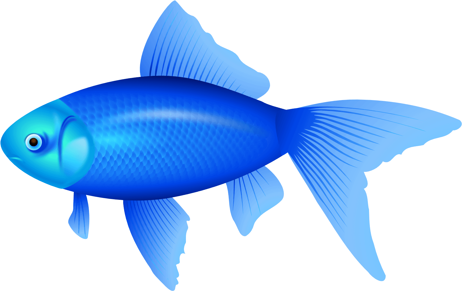 Blue Fish Png Clipart Image - Blue Fish Clipart - Transparent PNG Free Download | PNGio