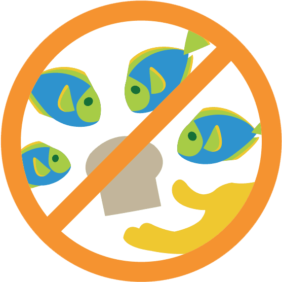 Don't Feed Fish - Don T Feed The Fish Sign - Transparent PNG Free Download | PNGio