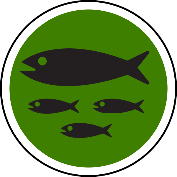 Fish Clip Art Black - Transparent PNG Free Download | PNGio