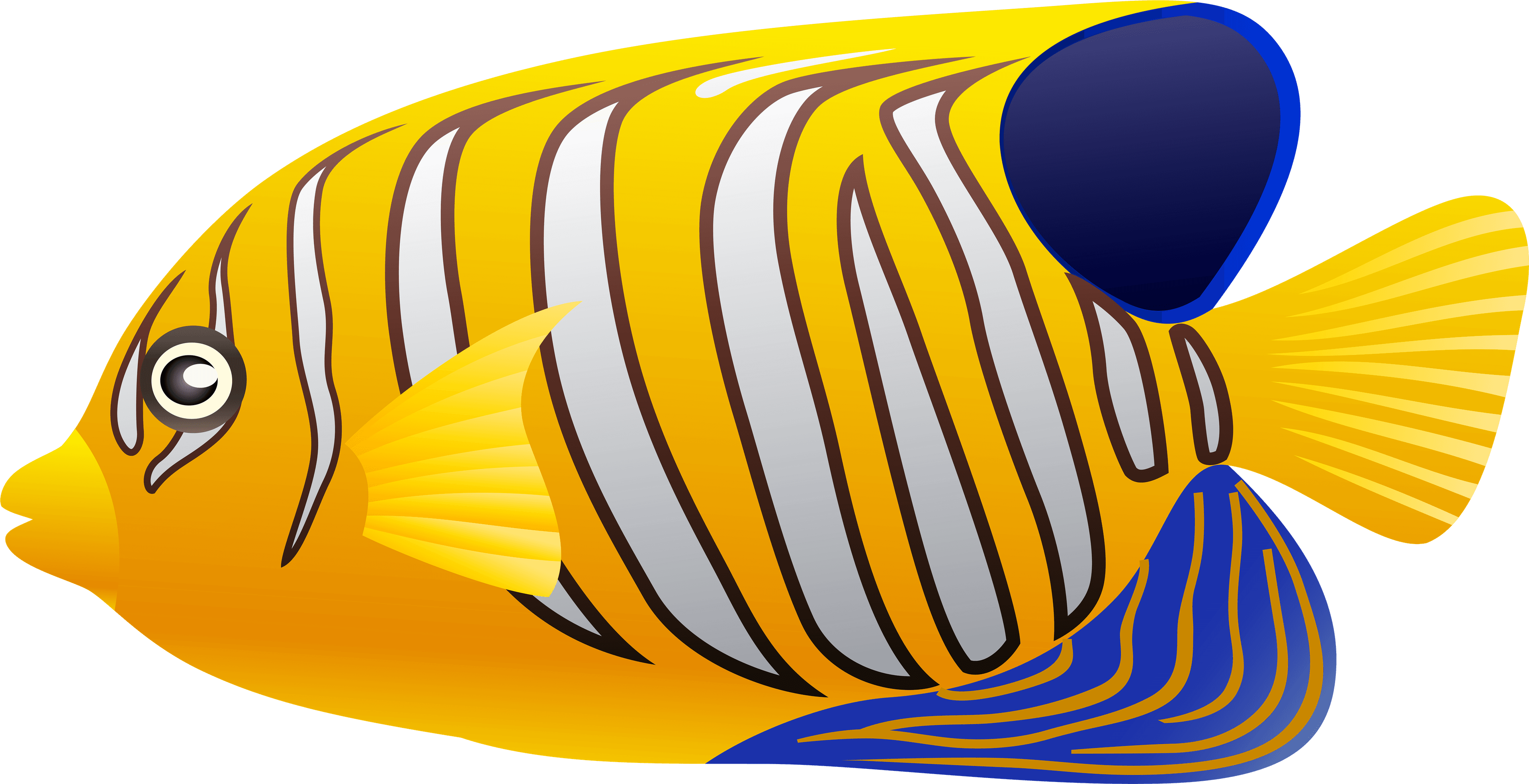 Yellow Fish Png Clip Art - Yellow Fish Clipart - Transparent PNG Free Download | PNGio