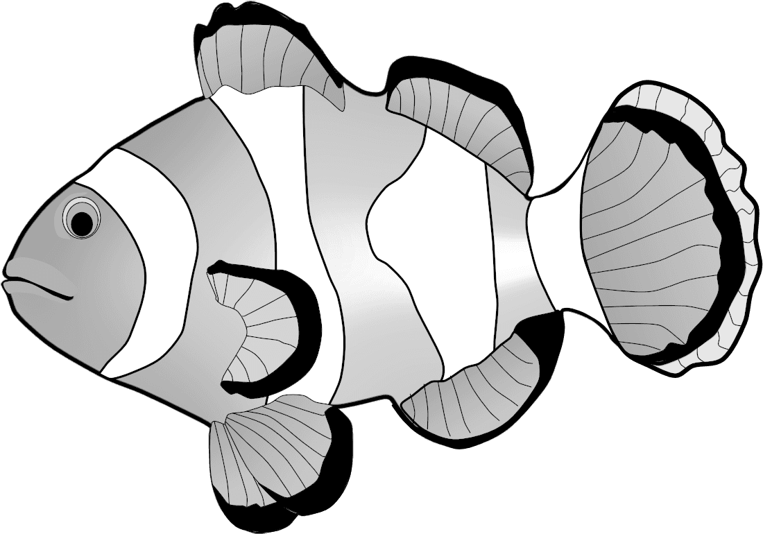 Clownfish Clipart - Clown Fish Clipart Black And White - Transparent PNG Free Download | PNGio