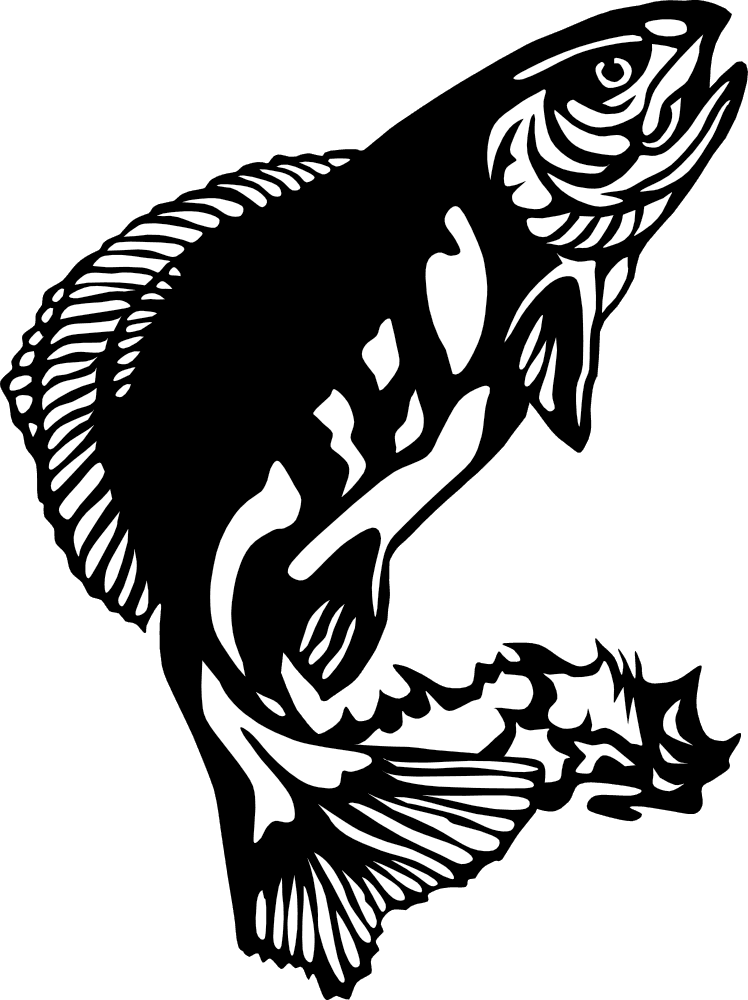 Fish Clip Art - Transparent PNG Free Download | PNGio