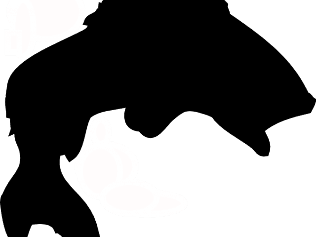 Bass Outline Cliparts - Bass Fish Silhouette - Transparent PNG Free Download | PNGio