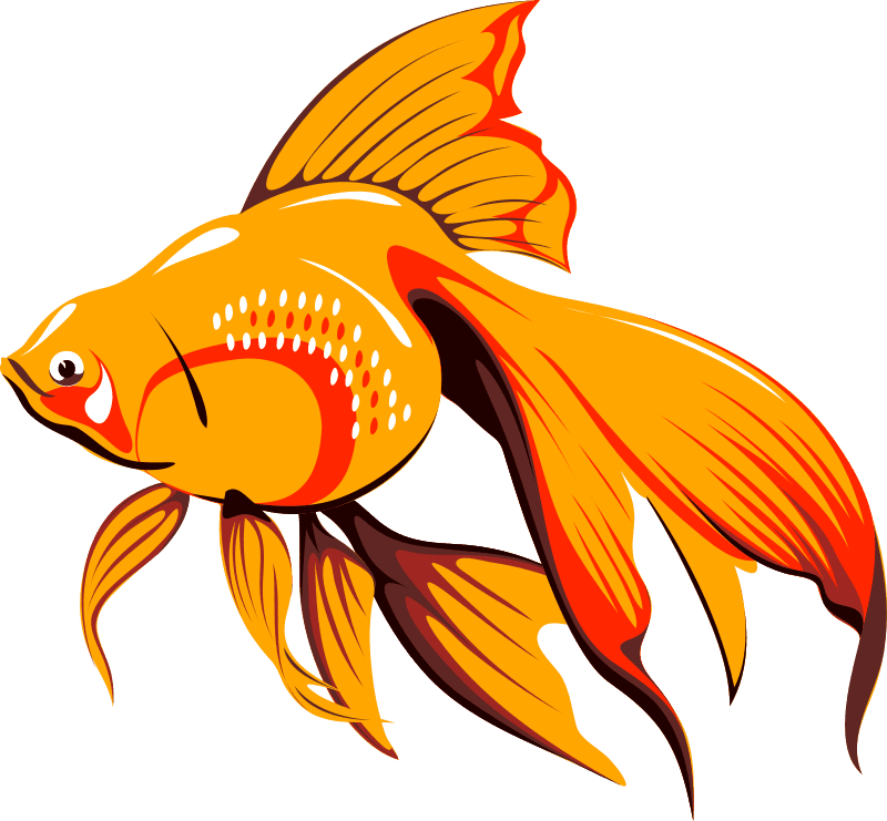 Fish Bait Free Architetto Pescetto - Golden Fish Clipart - Transparent PNG Free Download | PNGio