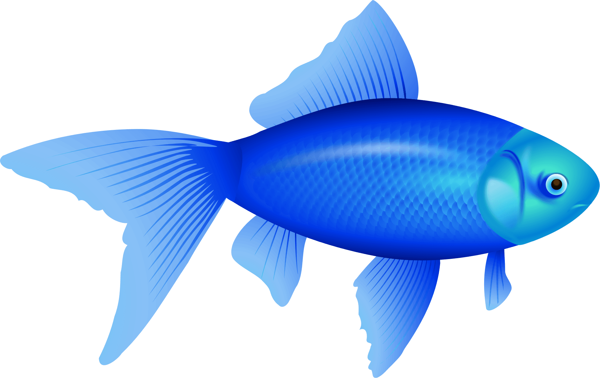 How To Move Two Different Images Across The Screen - Fish Clipart No Background - Transparent PNG Free Download | PNGio