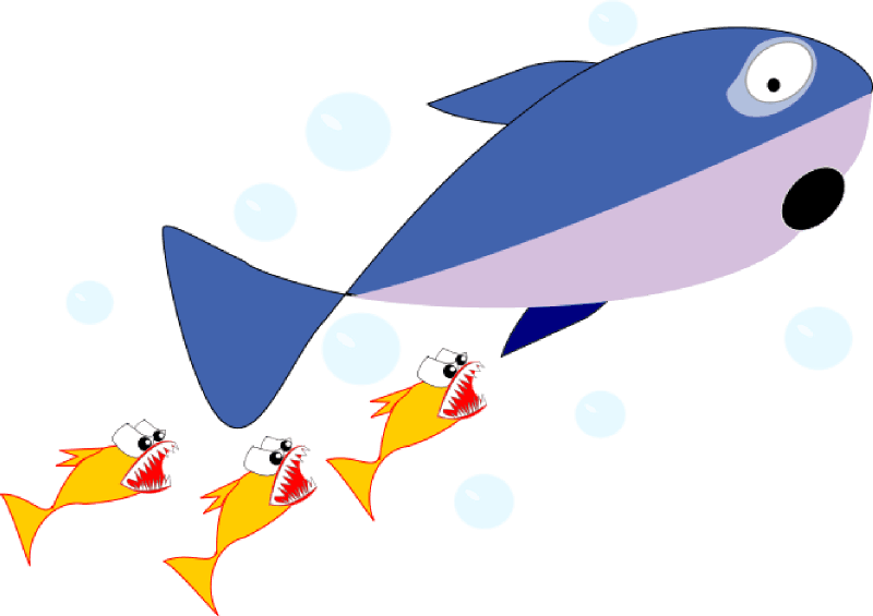 Shark Clipart Foca - Shark Chasing Fish Cartoon - Transparent PNG Free Download | PNGio