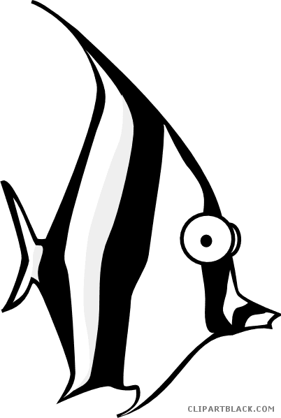 Angel Fish Animal Free Black White Clipart Images Clipartblack - Angel Fish Cartoon - Transparent PNG Free Download | PNGio