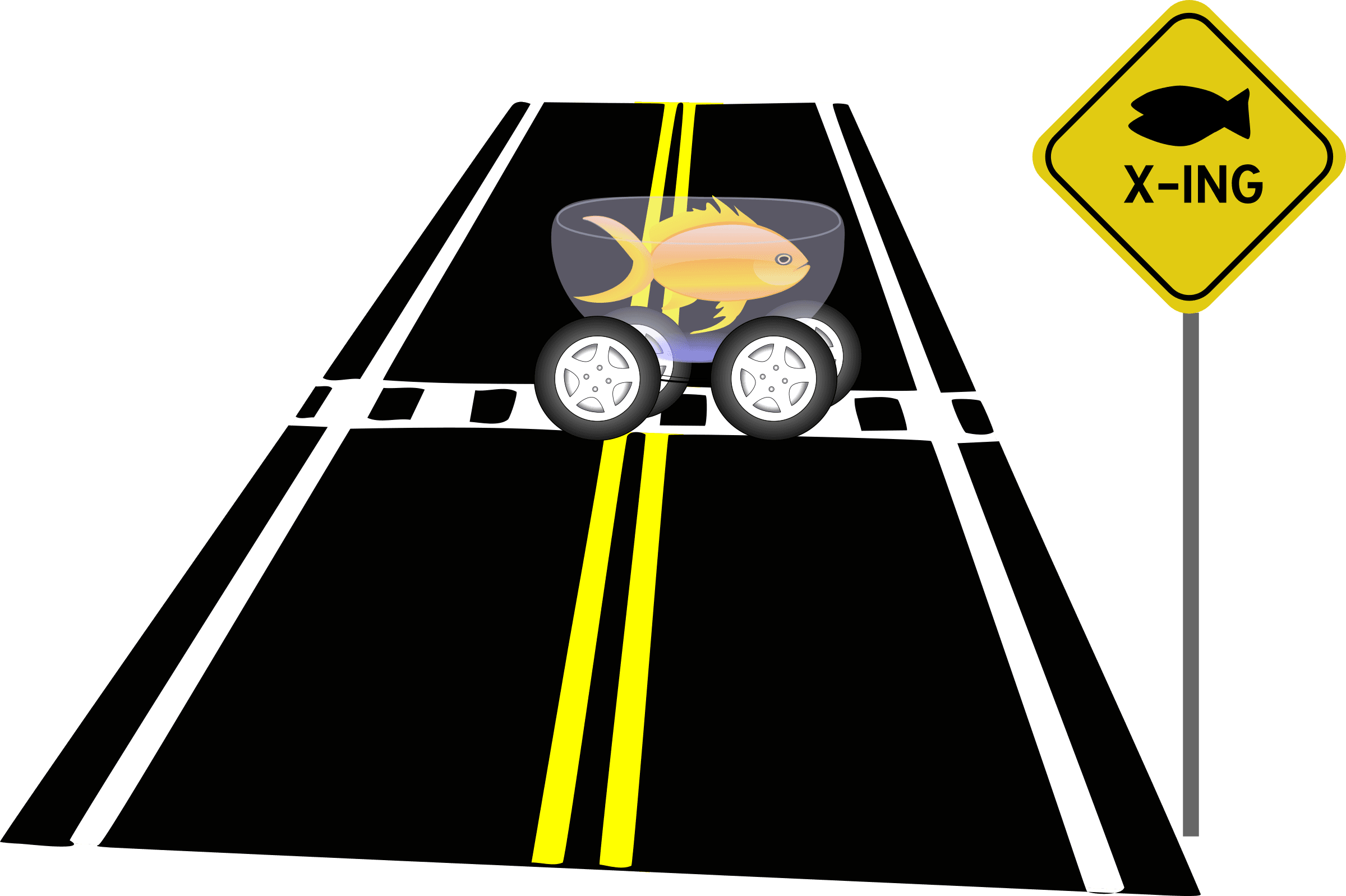 Fish Crossing Sign - Transparent PNG Free Download | PNGio